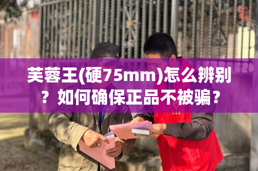 芙蓉王(硬75mm)怎么辨别？如何确保正品不被骗？